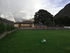 Familia Hermoza Greenhouse 5