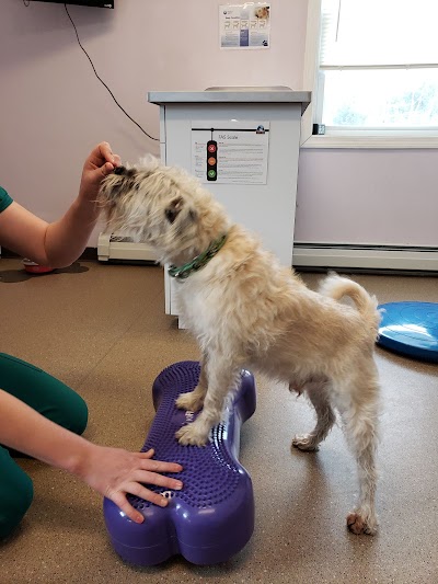 Suncook River Veterinary Clinic