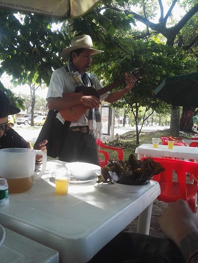 Photos of HATO GRANDE