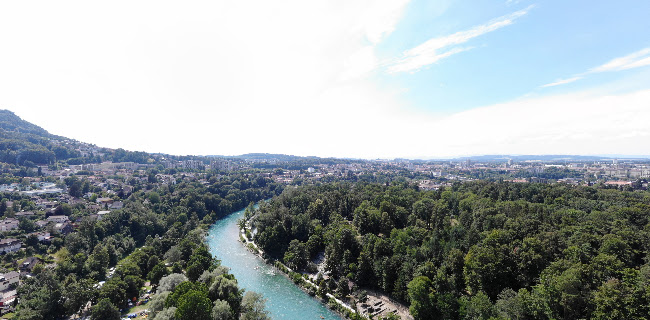 Eichholz - Bern