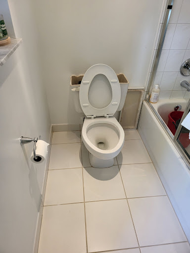 Professional Poo Services - Visual