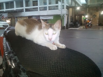 Photos of Hotel Wijaya Kusuma 1