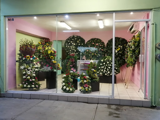 Florería Arifer - Visual