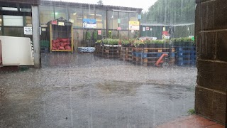Haigh's Farm Shop Ltd