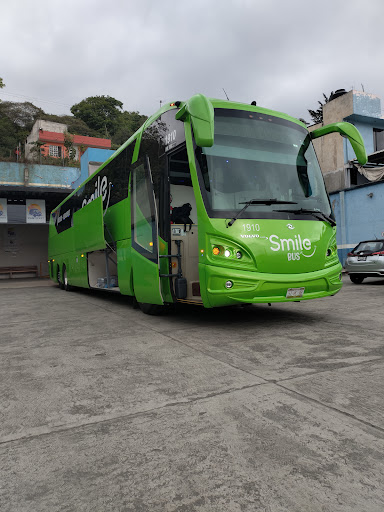 Smile Bus