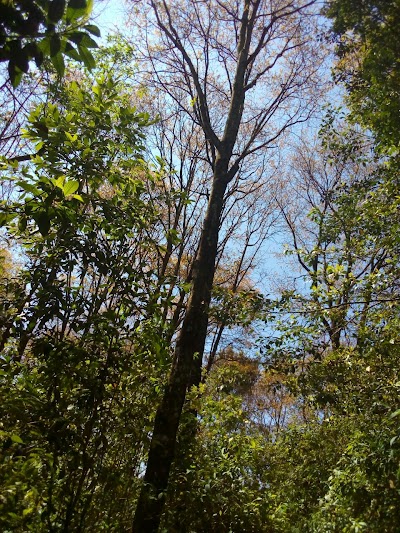 Photos of Aldea R&iacute;o Azul