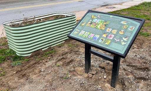 Swissvale Community Pollinator Garden - Thumbnail