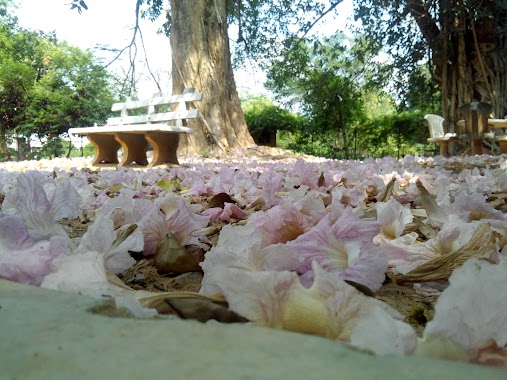 Faculty of Science University of Kelaniya, Author: Sewwandi Liyanage