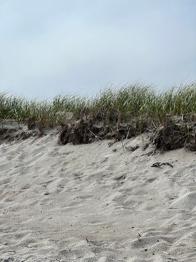 Pine Point Beach - Visual