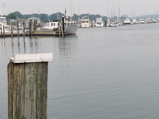 Bond's Dock - Visual