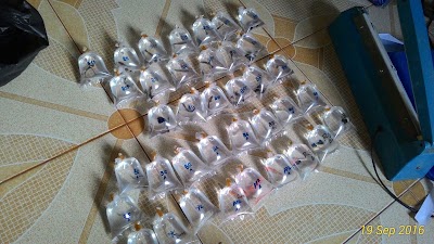 Photos of RumaHamsteRikky Petshop