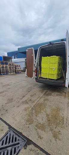 Same Day Help UK - Visual