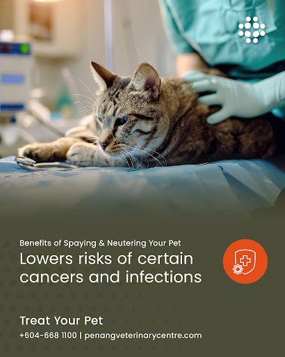 Penang Veterinary Centre | Penang Veterinary Clinic