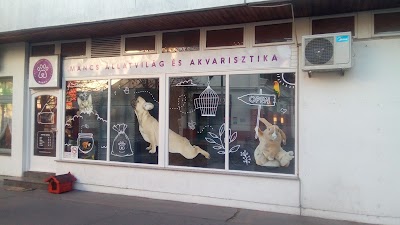 Photos of Mancs &Aacute;llateledel &eacute;s Akvarisztika