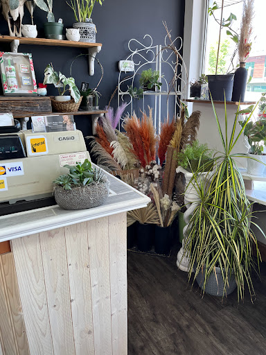 Fleuriste Direct - Visual