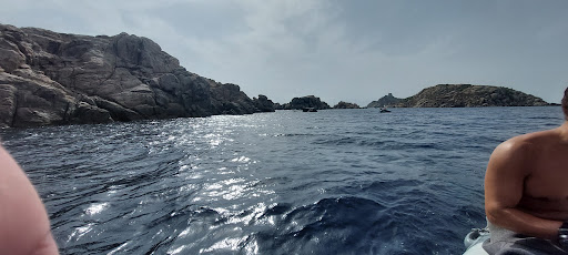 All dive sas di Marco Colonna & C Centro Immersioni - - Thumbnail