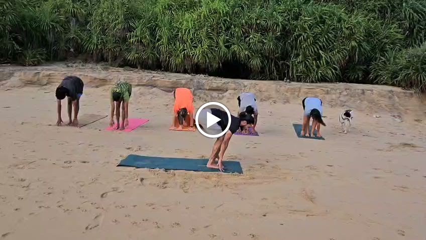 Rishikul Yogshala Best Yoga Teacher Training School In India