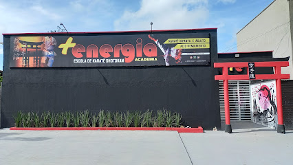 Academia Mais Energia De Karatê