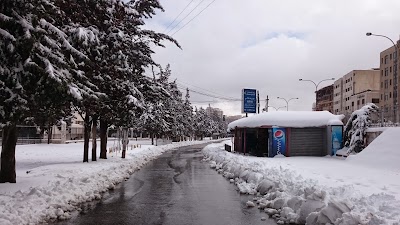 Photos of University of Jordan - the main gate