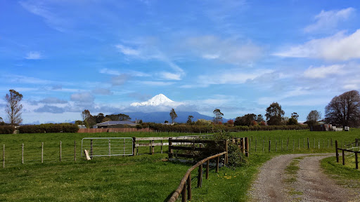 MT TARANAKI GUIDED TOURS