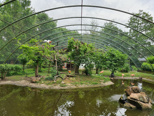 Vogelpark Eggenstein-Leopoldshafen Gallery - France