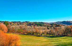 Photo n°9 de Domaine Piquestelle à La Salvetat-sur-Agout (Maison d'hôtes)
