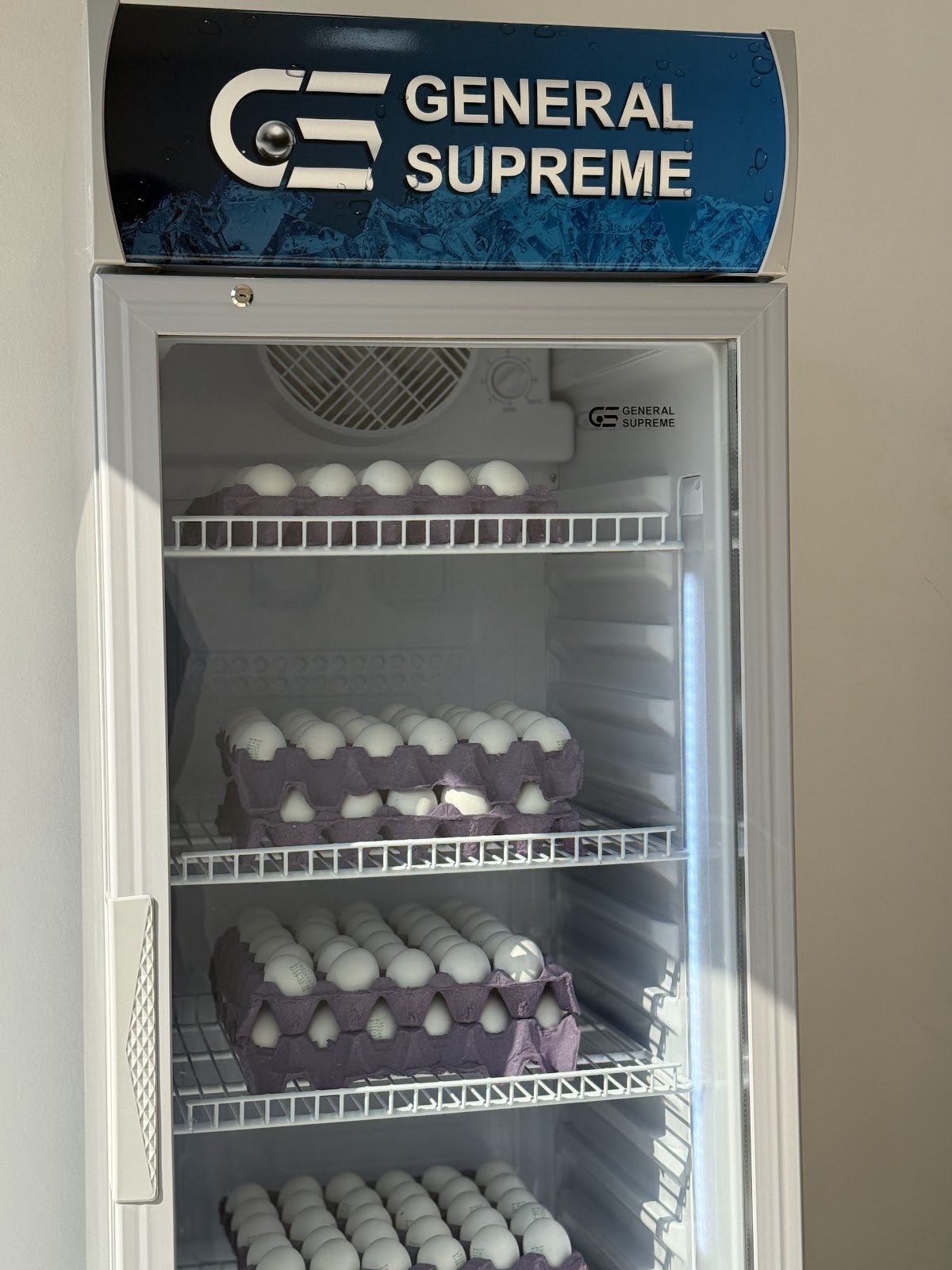 مشروع الدواجن - صورة 2