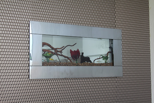 Dentist for Chickens - Edgeworth Dental Care - Thumbnail