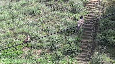 Photos of Wewessa Tea Center