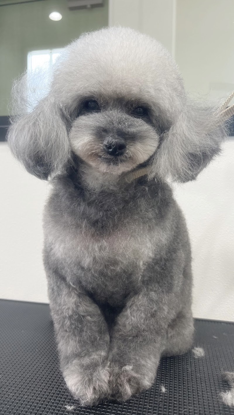 americoco(アメリココ)