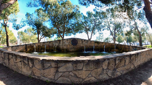 Carrascal Park - Visual