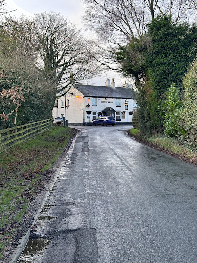 Rigbye Arms - Visual
