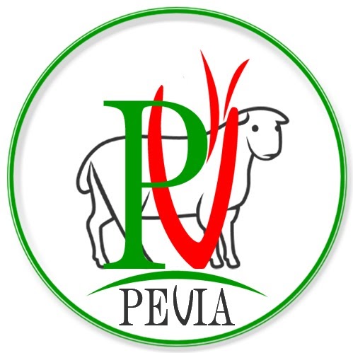 PEVIA SARL - Thumbnail