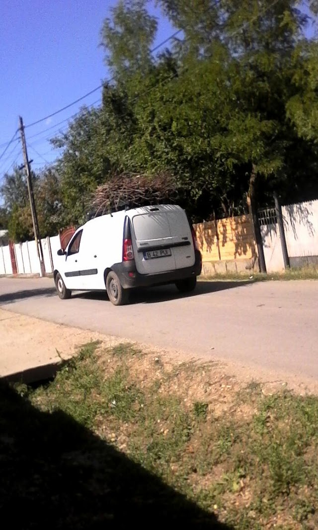 Cojasca