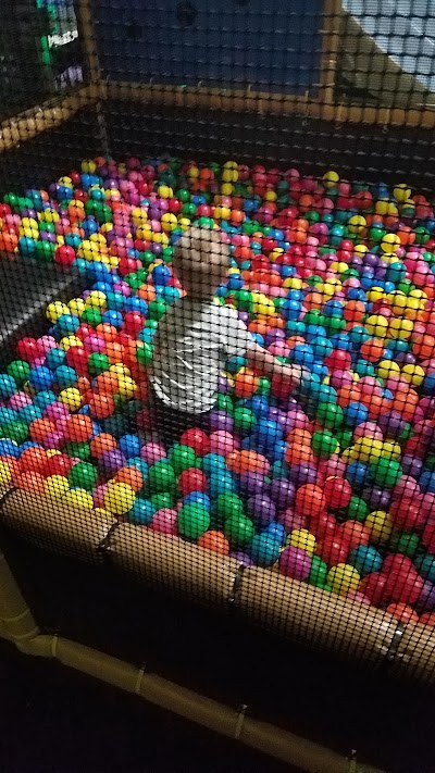 Photos of Jungle Playland
