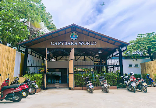 Capybara World Koh Samui