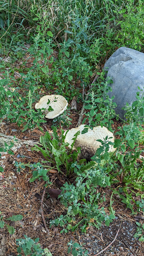 Ridge view Trail head - Thumbnail