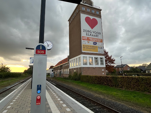 Wehl - Visual