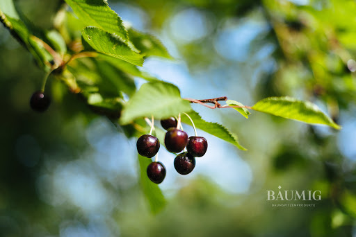 Bäumig - Visual