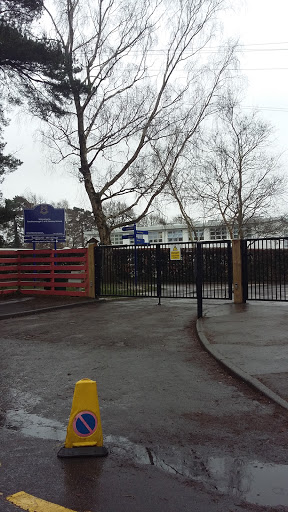 Southborough C Of E Primary School