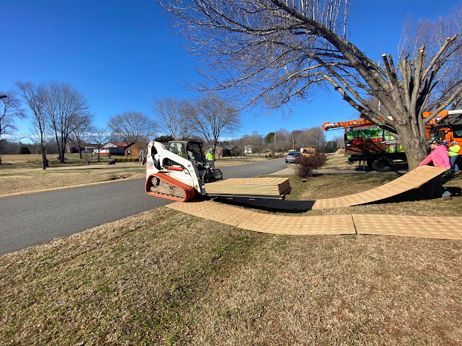 Taylorsville Tree Care, LLC
