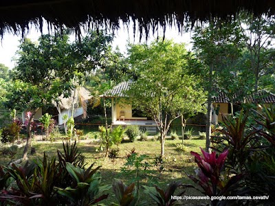Photos of Pondok Senaru Cottages