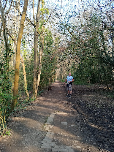 St Helens Wood - Thumbnail