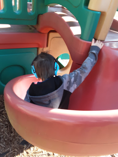 Ellendale Park - Visual