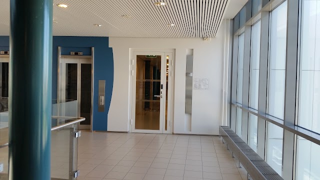 Tampereen yliopisto