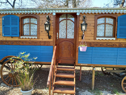 Photo de La maison d'Olivier, écogîte à Saucats (33650)