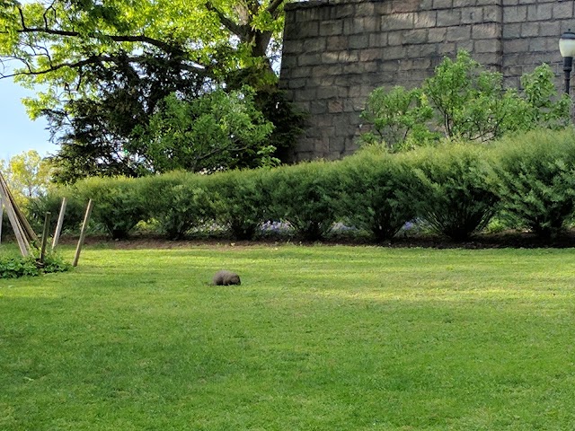 The Cloisters