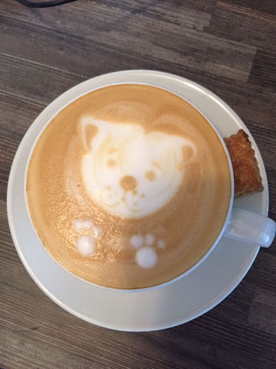 Photos of Aviary Coffee Shop