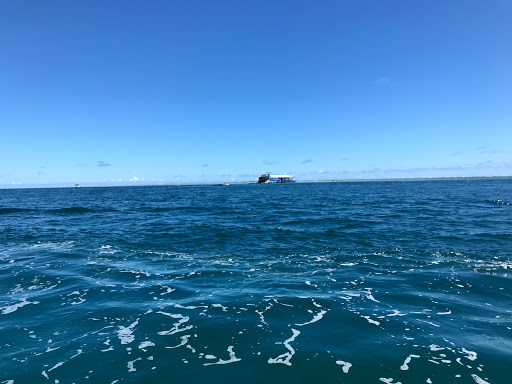 Kaneohe Sandbar - Thumbnail