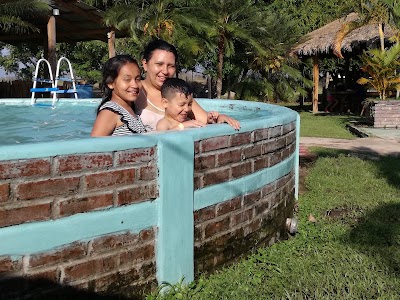 Photos of Tilapias